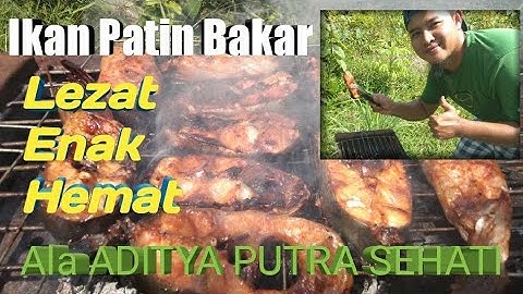 Ikan patin bakar enak, lezat dan hemat ala Aditya Putra Sehati