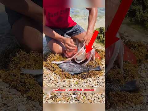 أخطبوط يخفي مفاجأة داخل بطنه 😱 #viral #shorts