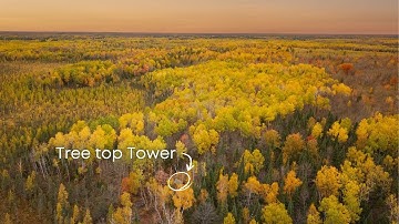 The Ultimate Hunting Blind Build… WITH A BED INSIDE?!?