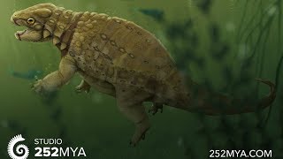 An Aquatic Ankylosaur?