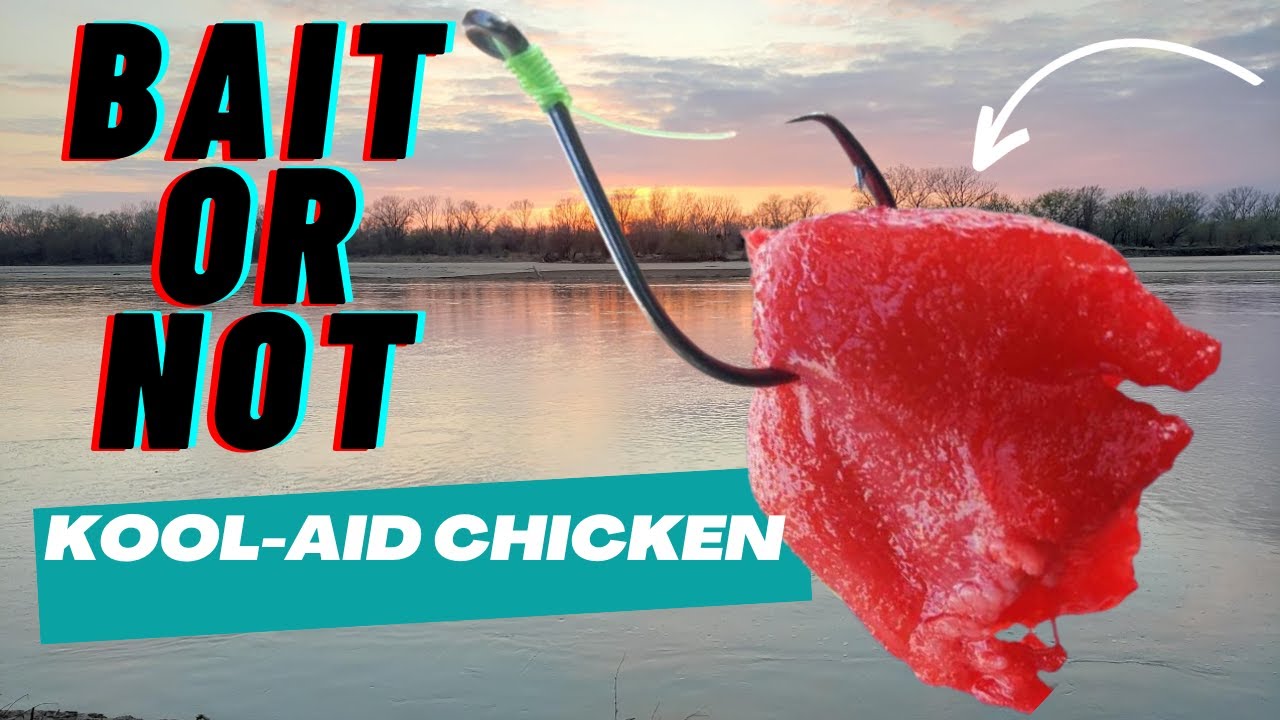 Kool-Aid and Jell-O CHICKEN Bait Catfishing La Cygne Lake Hot