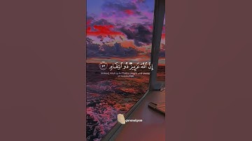 سورة إبراهيم القارئ #ياسر_الدوسري #فلسطين#السعودية#المغرب#مصر#الجزائر