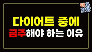 다이어트 중 금주해야하는 이유는 바로 이것! (다이어트 Ep.3)