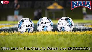Lawrence Tech vs Northwestern Ohio | NAIA College Men's Soccer 2025