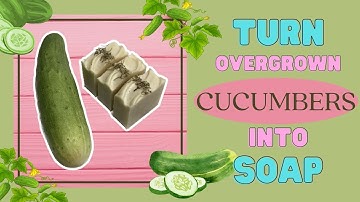 What To Do With Overgrown Cucumbers? Make Soap With Them! | Cold Process Soap Making