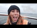 First ever Van Roadtrip, North of Iceland I Van life I Living in Iceland I Vlog 40