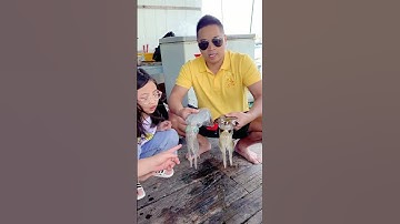 🌈 Đây mới là con mực tươi. Đừng có ở nhà mà cãi nhau về con mực tươi mà người ta cười cho 🦑🦑🦑