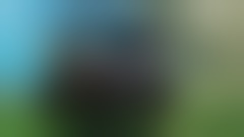 valheim. with no context