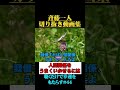 我慢すれば人間関係上手くいくけど、我慢しすぎはいけない。 #shorts