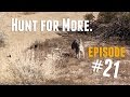 Hunt for more 21 predator hunting action