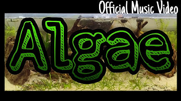 Algae - Official Music Video (Parody of Walk by Pantera)