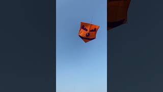 6 Feet Pipa Kite Flying 