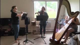 Excerpt from Barbie and the 12 Dancing Princesses- Harp, Flute, and Violin Trio