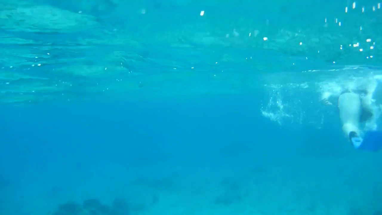 PalMar Snorkel Beach Club Cozumel - YouTube