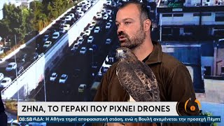 Ζήνα η... πολεμίστρια  Το γεράκι που ρίχνει drones