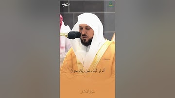 اقسم بها الله | والفجر ، وليال عشر تلاوة ماتعة من الشيخ د. ماهر المعيقلي لفـواتح سـورة الفجر