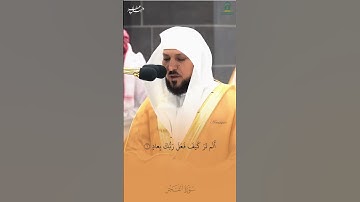 اقسم بها الله | والفجر ، وليال عشر تلاوة ماتعة من الشيخ د. ماهر المعيقلي لفـواتح سـورة الفجر
