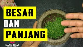 PAKAI INI  BISA BIKIN OTONG BESAR DAN PANJANG PERMANEN