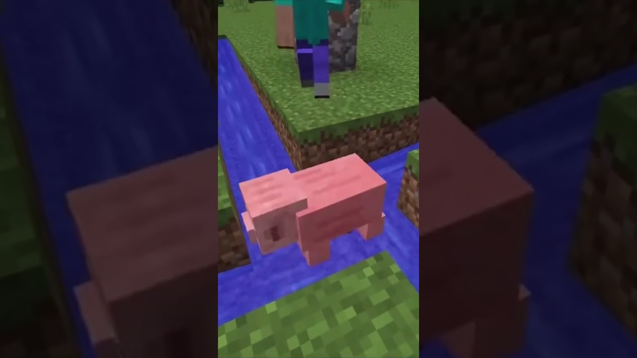 Helicopter in Minecraft Meme 