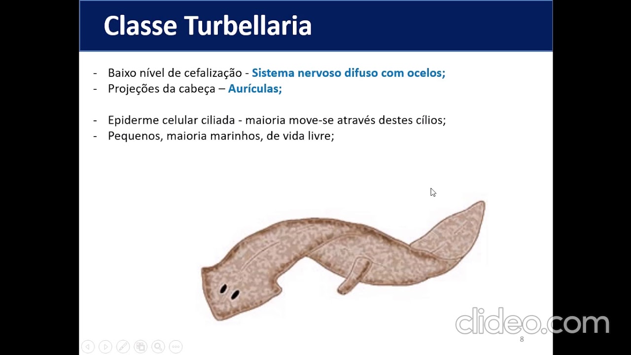 mexidol dent a rossz leheletért