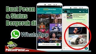 Cara Membuat Gambar Bergerak GIF Di WHATSAPP screenshot 4