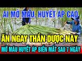 Phát Hiện 3 Loại Rau Đắng CỰC BỔ MÁU, Ăn Vào Tốt Cho Tim, Gan Thận Yếu Mấy Cũng Hồi Sinh Trở Lại