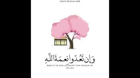 القارئ وديع اليمني..سورة النحل...🌸🌿