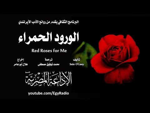 من الأدب الأيرلندي الورود الحمراء شون أوكيسي