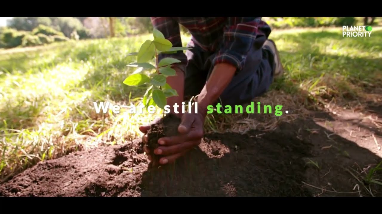 World Environment Day—uplift each other | Planet Priority