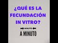 ¿Qué es la Fecundación In Vitro?