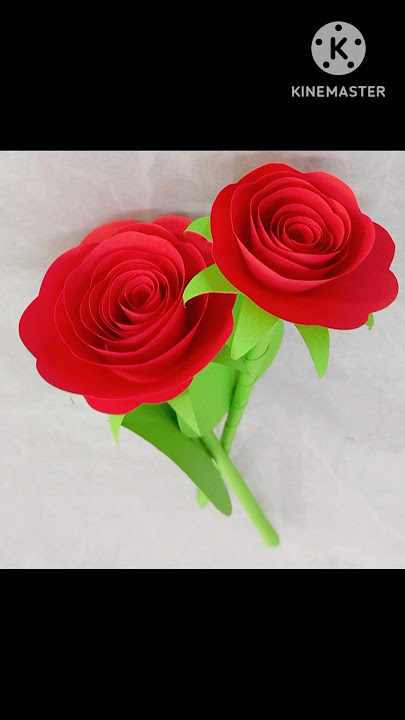 Rose Day 🌹❤️🌹Paper Craft#diy #diypaperflower #flower #quickandeasy #redrose #shorts