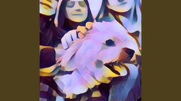 Pulsating Ambiance for Bright Pups