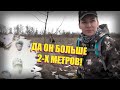 БОЛЬШИЕ животные на копе! СЛОМАЛА ЛОПАТУ, пришлось уехать!