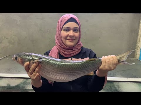 اكبر بطروخ في العالم من داخل بطن اكبر سمكه بوري بحر قنال