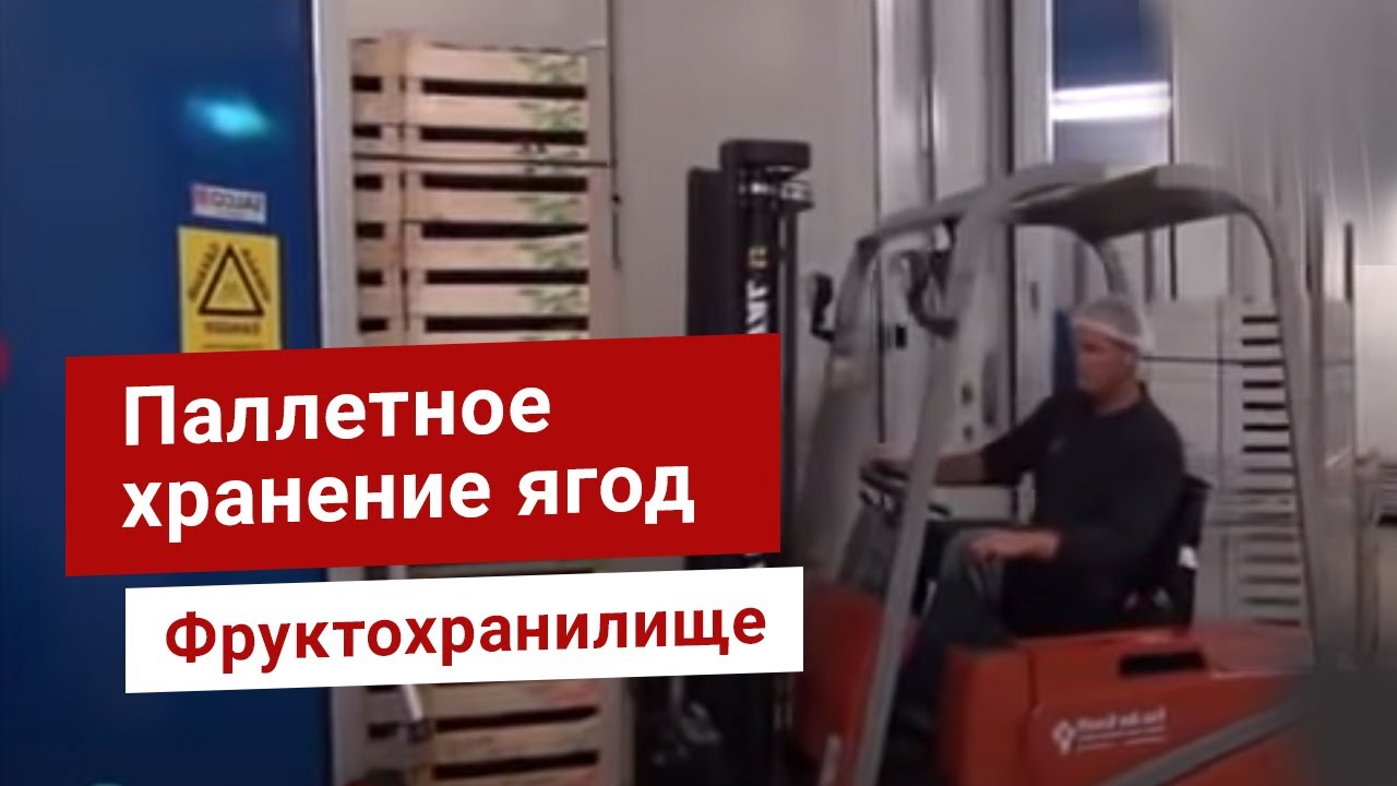 Осаго в ргс
