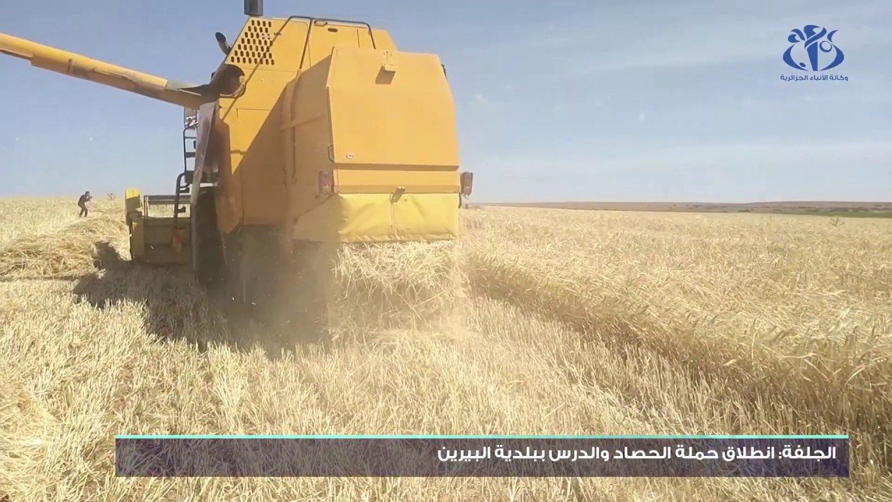 الجلفة: انطلاق حملة الحصاد والدرس ببلدية البيرين