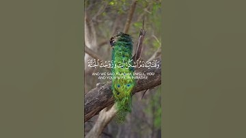 واذ قلنا للملائكة اسجدو لآدم ..القارئ هزاع البلوشي #quran