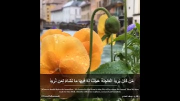 القارئ يوسف محمد الحمادي من سورة الإسراء