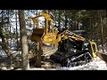 One minute job for seppi miniforst cl  forestry mulcher