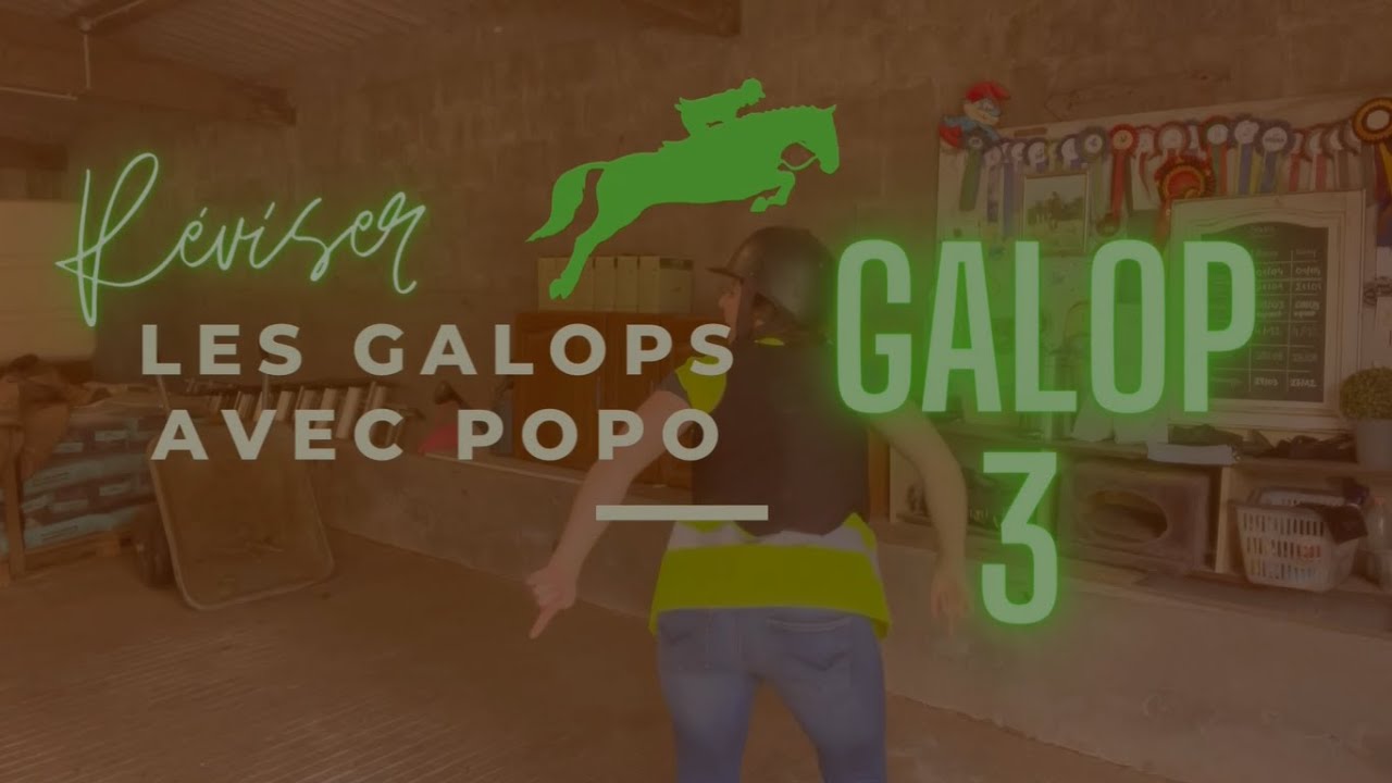 LA THEORIE DU GALOP 2, on révise ensemble ? - DWH 2.0 