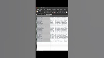 Two ways of using format painter in excel #Excel #easytips #exceltricks #sheets #Tips#excelbeginners