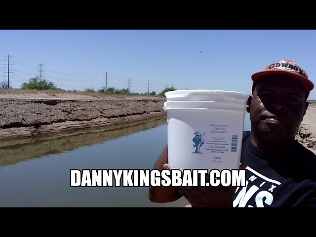 Danny Kings Catfish Punch Bait 