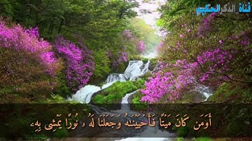 ( وربك الغنى ذو الرحمة ) تلاوة _ مؤثرة _ تذيب _ القلوب _ خشوعا _ للشيخ ياسر الدوسري .