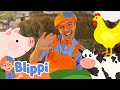 OLD MACDONALD&#39;s Barnyard Shenanigans | BLIPPI| Kids TV Shows | Cartoons For Kids | Fun Anime