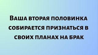Ангелы говорят, что ваша вторая половинка собирается признаться в своих планах на брак...