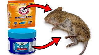 How To Get Rid of Mice With Vicks Vaporub and Baking soda