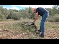 PLAYING WITH THE CHAINSAW#chainsaw #nature #motosierra #farm