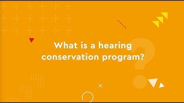 Noise explainer part 3: What Do I Need To Do To Meet The Workplace Noise Regulations