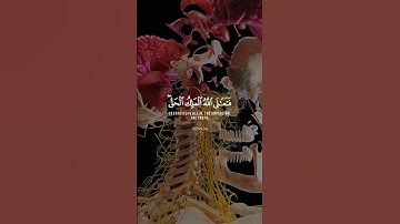 أفحسبتم أنما خلقناكم عبثا - آيات مبكية وخاشعة - اسلام صبحي 💔🎧