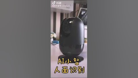 AI face recognition camera